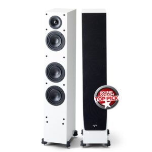 Paradigm Monitor SE 3000F