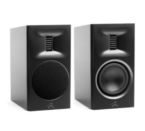 Martin Logan Motion XT B100