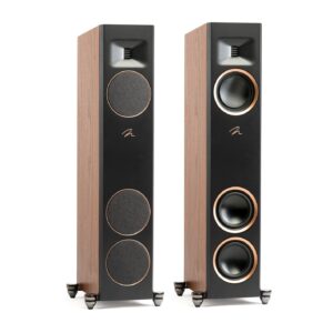 Martin Logan Motion F10