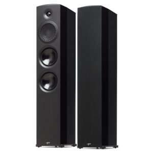 Paradigm Premier 800F